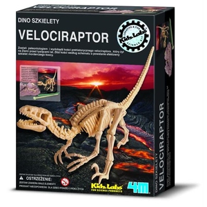 Wykopaliska Velociraptor - 4M