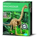 dino-szkielety-brachiozaur-wykopaliska-4m