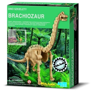 Dino Szkielety. Brachiozaur. Wykopaliska - 4M